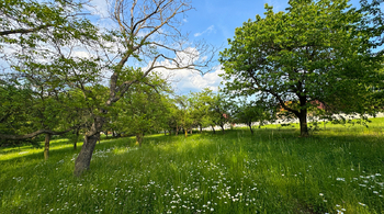 Pozemek - Prodej pozemku 4194 m², Třebonín