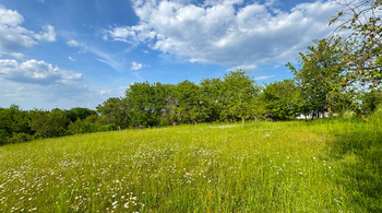 Pozemek - Prodej pozemku 4194 m², Třebonín
