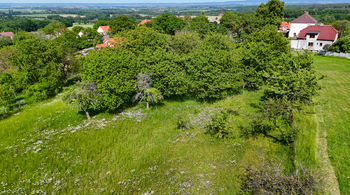 Pozemek - vzrostlý sad - Prodej pozemku 4194 m², Třebonín