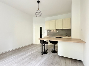 Pronájem bytu 2+kk v osobním vlastnictví 46 m², Praha 4 - Nusle