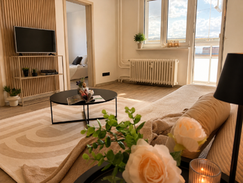 Prodej bytu 3+1 v družstevním vlastnictví 72 m², Litvínov