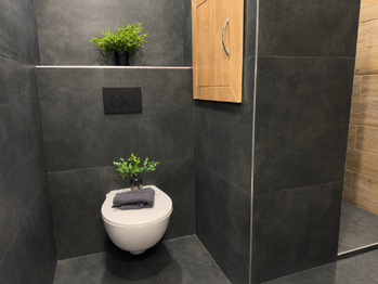 Prodej bytu 3+1 v družstevním vlastnictví 72 m², Litvínov