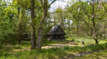 Pohled na chatu - Prodej chaty / chalupy 40 m², Vědomice