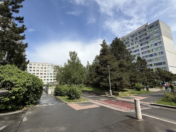 Zeleň před domem - Prodej bytu 3+1 v osobním vlastnictví 73 m², Praha 4 - Chodov