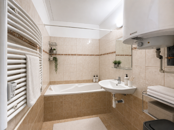 Koupelna - Prodej bytu 3+1 v osobním vlastnictví 75 m², Trhové Sviny