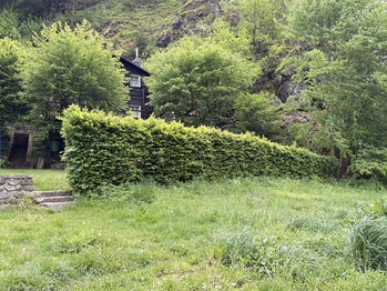 Prodej chaty / chalupy 80 m², Jílové u Prahy