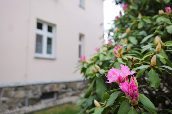 Prodej domu 152 m², Nýrsko