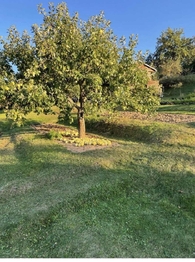 Pronájem pozemku 313 m², Třebíč