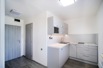 Byt 1+1| Denisa Sochová | +420 730 823 682 | denisa.sochova@re-max.cz - Prodej bytu 1+1 v osobním vlastnictví 29 m², Karviná