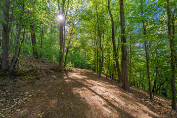 Prodej chaty / chalupy 55 m², Smědčice