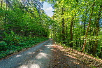 Prodej chaty / chalupy 55 m², Smědčice