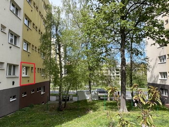 Pronájem bytu 1+kk v osobním vlastnictví 31 m², Praha 6 - Břevnov