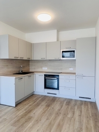 Kuchyňská linka - Pronájem bytu 2+kk v osobním vlastnictví 43 m², Praha 9 - Černý Most