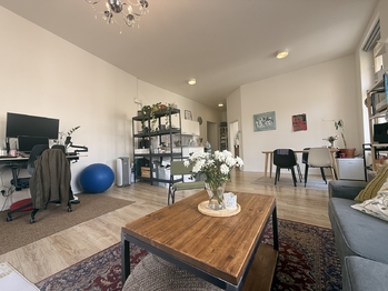 Pronájem bytu 2+kk v osobním vlastnictví 68 m², Praha 7 - Holešovice