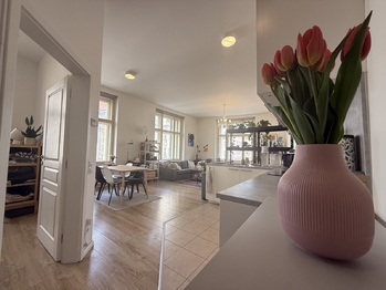 Pronájem bytu 2+kk v osobním vlastnictví 68 m², Praha 7 - Holešovice