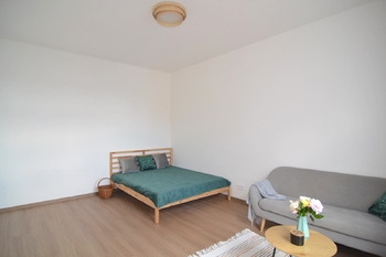 Pronájem bytu 2+kk v osobním vlastnictví 48 m², Praha 3 - Žižkov