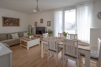 Pronájem bytu 3+kk v družstevním vlastnictví 83 m², Neratovice