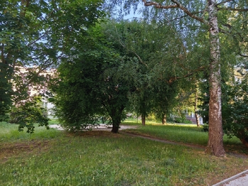 Pronájem bytu 3+kk v osobním vlastnictví 83 m², Neratovice