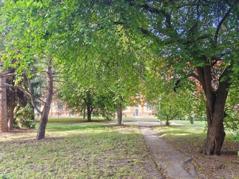 Park u domu.  - Pronájem bytu 3+1 v družstevním vlastnictví 83 m², Neratovice