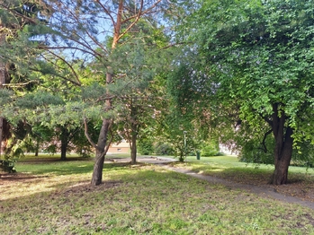 Park u domu.  - Pronájem bytu 3+1 v družstevním vlastnictví 83 m², Neratovice
