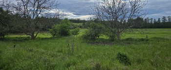 Prodej pozemku 946 m², Postoloprty