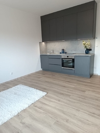 Pronájem bytu 1+kk v osobním vlastnictví 35 m², Praha 10 - Uhříněves