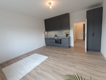 Pronájem bytu 1+kk v osobním vlastnictví 35 m², Praha 10 - Uhříněves