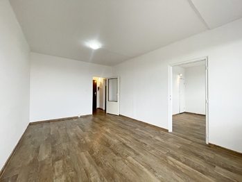 pokoj - Pronájem bytu 1+1 v osobním vlastnictví 49 m², České Budějovice