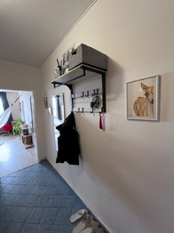 Pronájem bytu 2+kk v osobním vlastnictví 40 m², Bohutín
