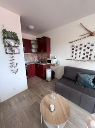 Pronájem bytu 2+kk v osobním vlastnictví 40 m², Bohutín