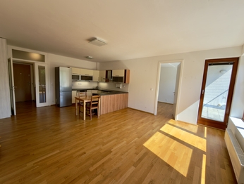 Prodej bytu 2+kk v osobním vlastnictví 69 m², Dolní Břežany