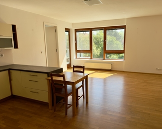 Prodej bytu 2+kk v osobním vlastnictví 69 m², Dolní Břežany