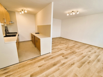 Pronájem bytu 3+1 v osobním vlastnictví 80 m², Mladá Boleslav