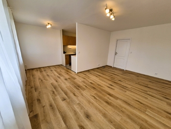 Pronájem bytu 3+1 v osobním vlastnictví 80 m², Mladá Boleslav
