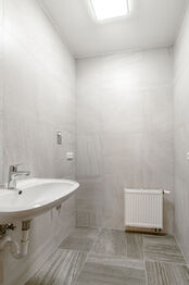 Pronájem domu 280 m², Průhonice