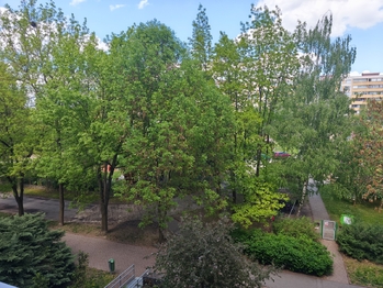 Prodej bytu 3+1 v družstevním vlastnictví 76 m², Neratovice
