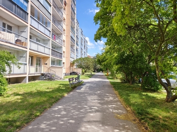 Prodej bytu 3+1 v družstevním vlastnictví 76 m², Neratovice