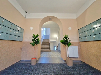 Pronájem bytu 1+1 v osobním vlastnictví 40 m², Praha 4 - Nusle