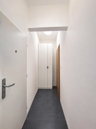 Pronájem bytu 1+1 v osobním vlastnictví 40 m², Praha 4 - Nusle
