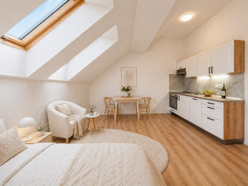 Pronájem bytu 1+kk v osobním vlastnictví 29 m², Praha 6 - Břevnov
