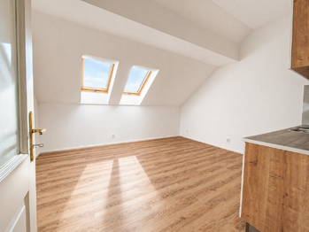 Pronájem bytu 1+kk v osobním vlastnictví 29 m², Praha 6 - Břevnov