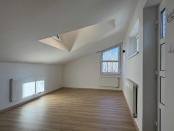 Pronájem bytu 1+kk v osobním vlastnictví 46 m², Praha 5 - Smíchov