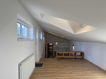 Pronájem bytu 1+kk v osobním vlastnictví 46 m², Praha 5 - Smíchov