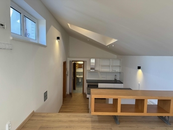 Pronájem bytu 1+kk v osobním vlastnictví 46 m², Praha 5 - Smíchov
