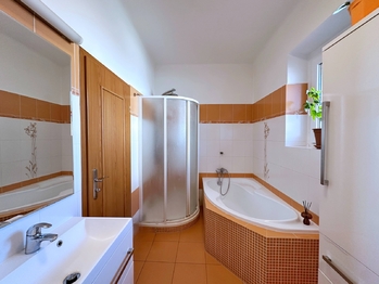 Koupelna - 1.NP - Prodej domu 386 m², České Budějovice