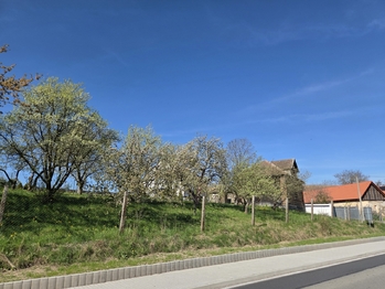 Prodej pozemku 330 m², Holetín