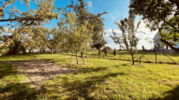 Prodej pozemku 960 m², Holetín