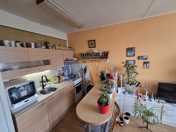 Prodej bytu 1+1 v osobním vlastnictví 46 m², Pardubice