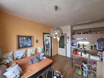 Prodej bytu 1+1 v osobním vlastnictví 46 m², Pardubice