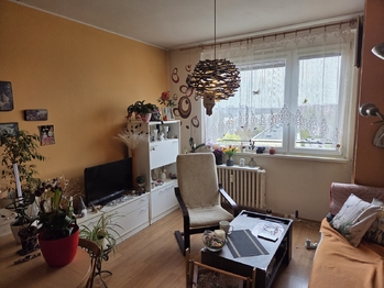 Prodej bytu 1+1 v osobním vlastnictví 46 m², Pardubice